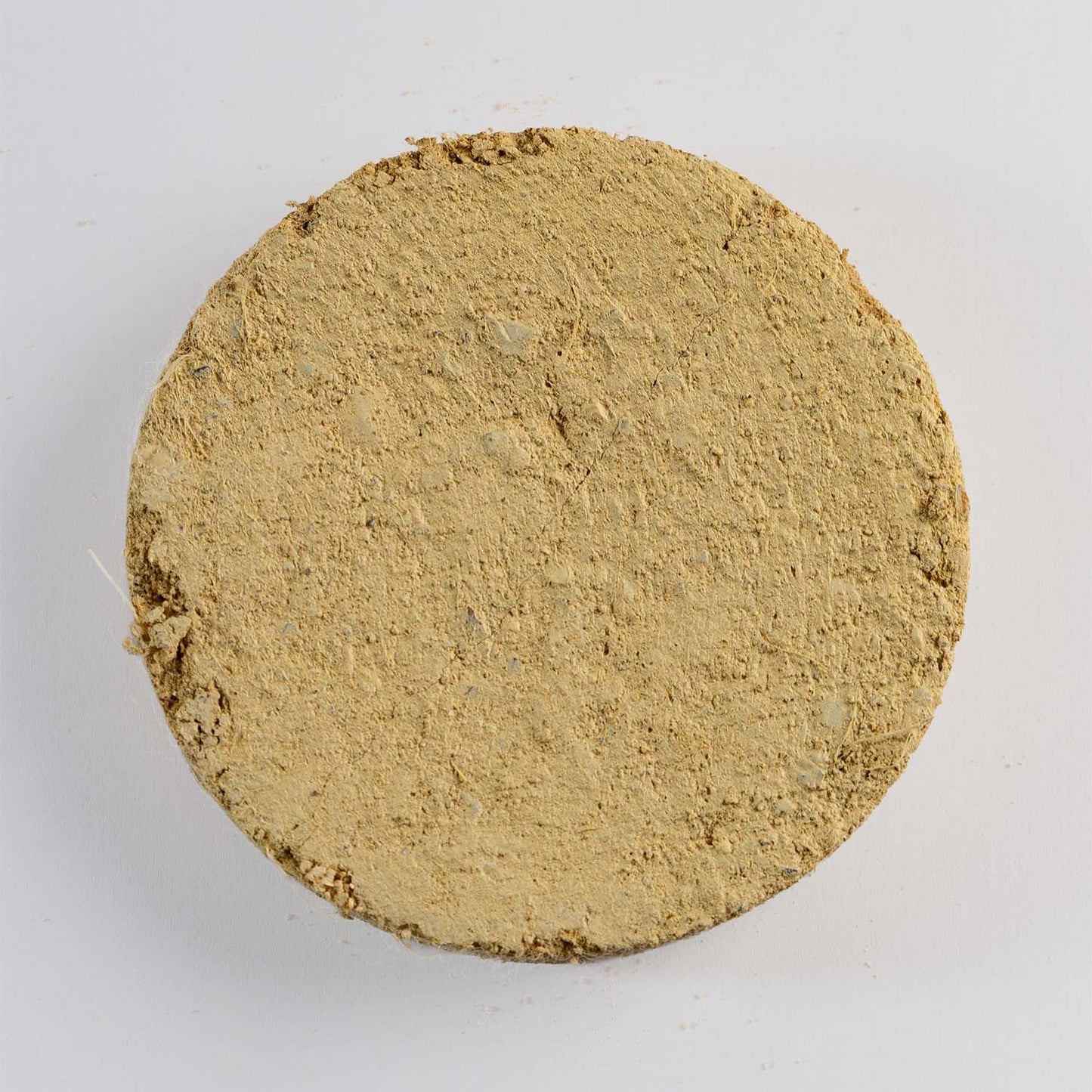 Splattercoat — textured lime coating by Rose of Jericho