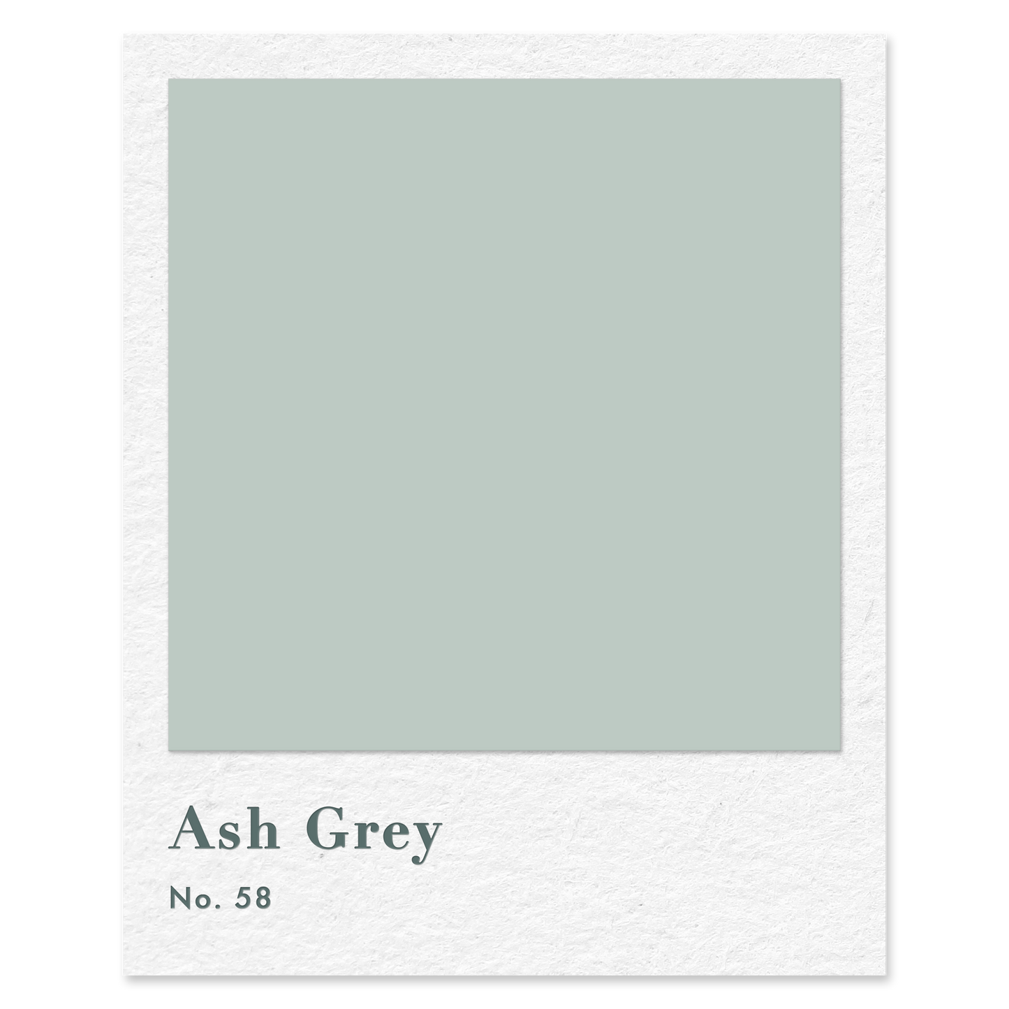 Ash Grey (No. 58) — traditional paint colour by Rose of Jericho