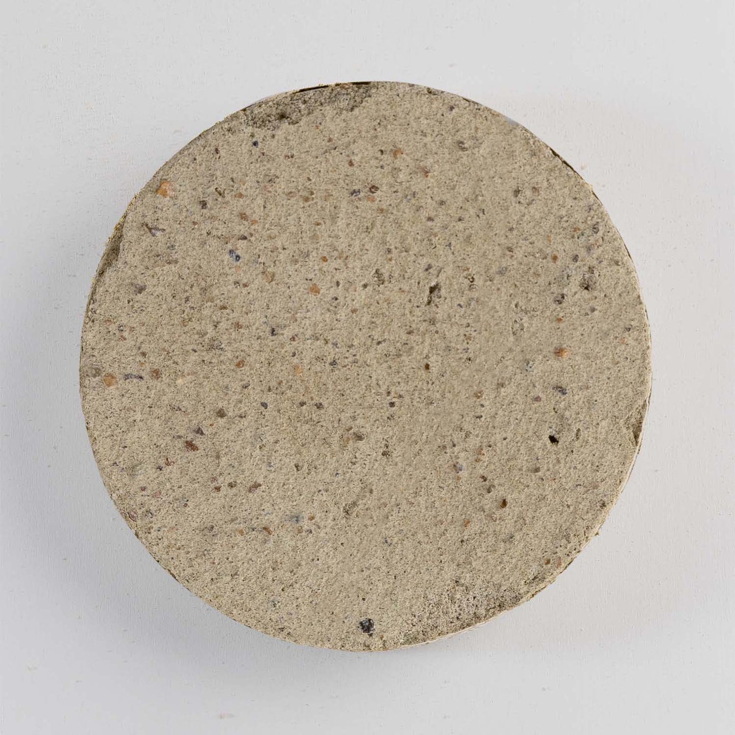 Basecoat plaster without fibres — lime plaster by Rose of Jericho
