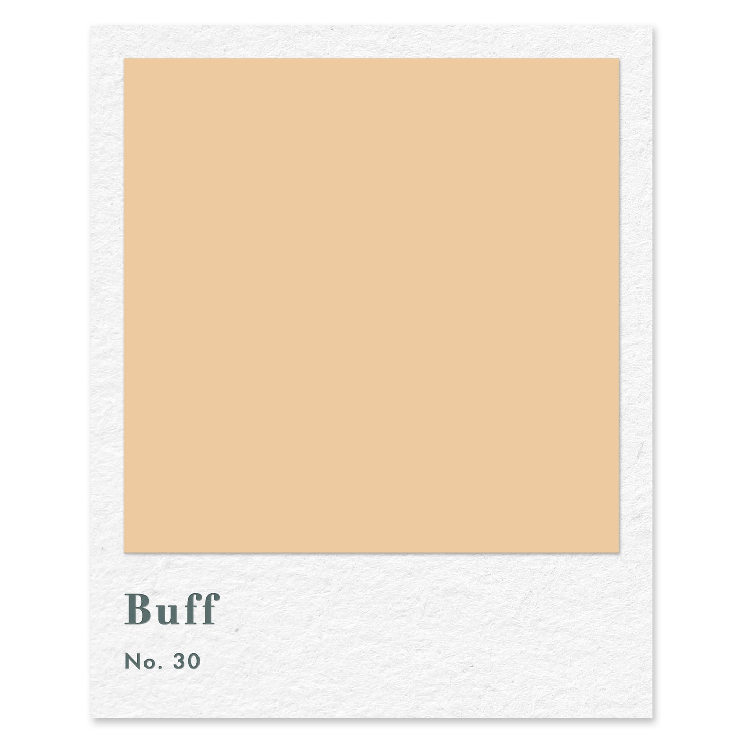 Buff (No. 30) — traditional paint colour by Rose of Jericho