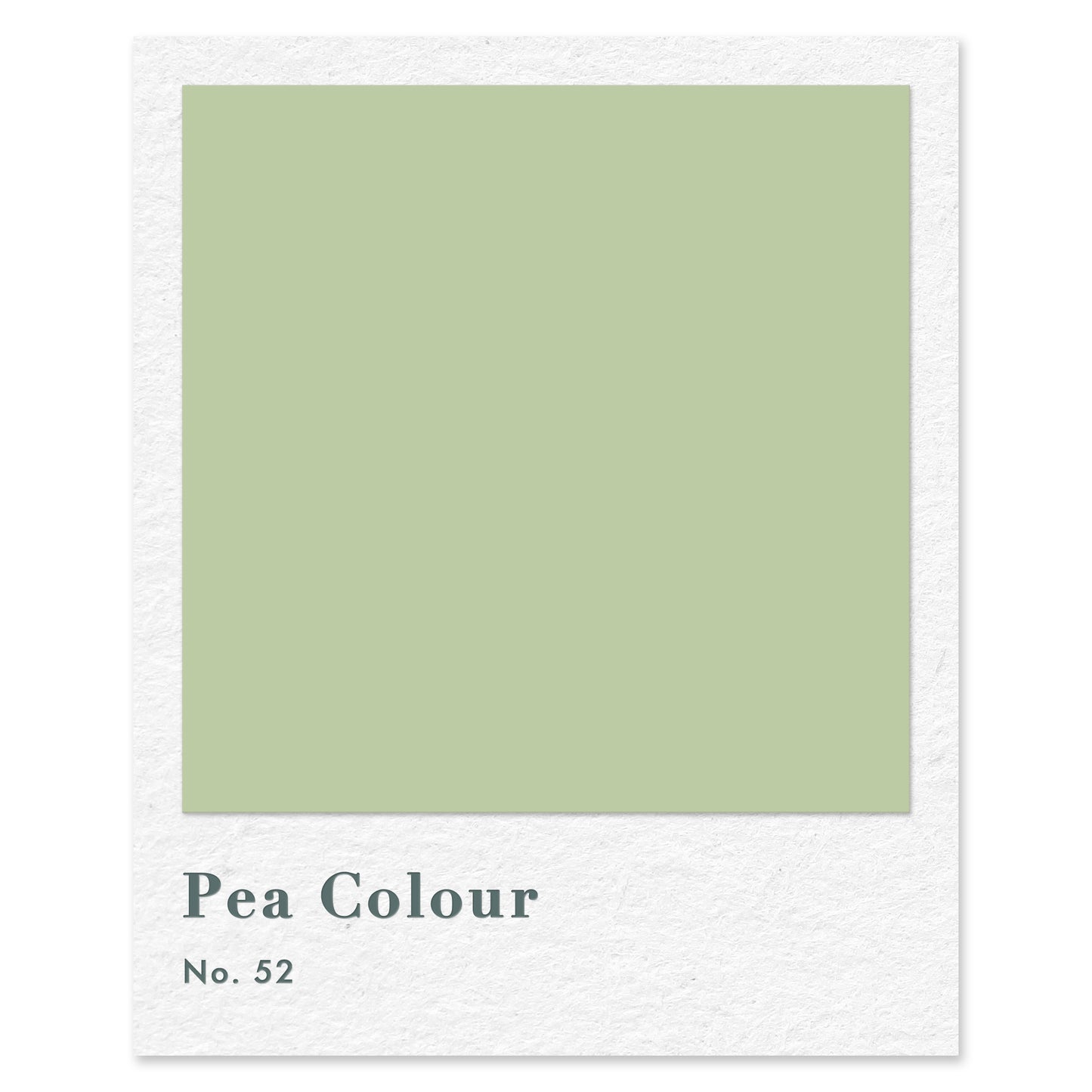 Pea Colour (No. 52) — traditional paint colour by Rose of Jericho
