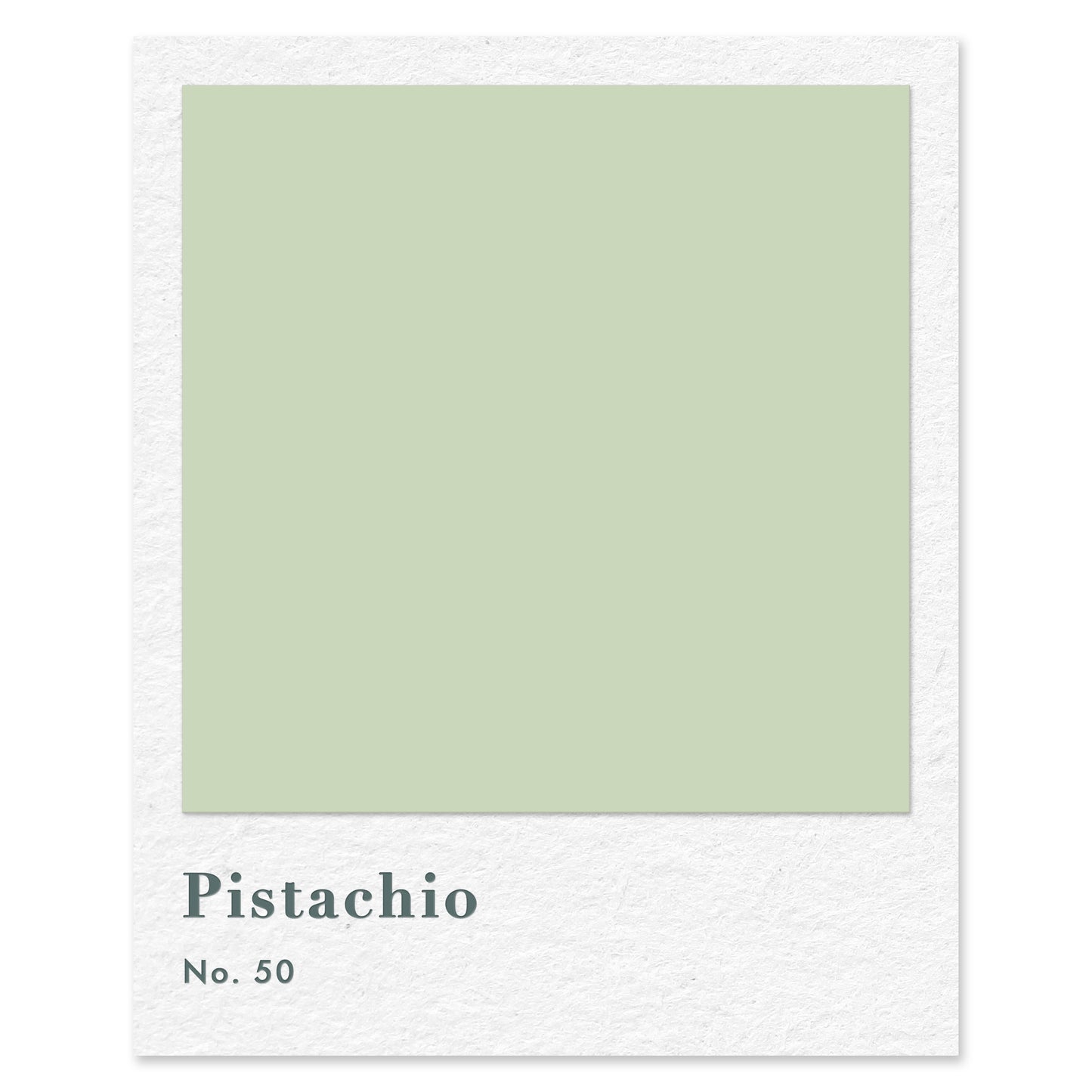 Pistachio (No. 50) — traditional paint colour by Rose of Jericho