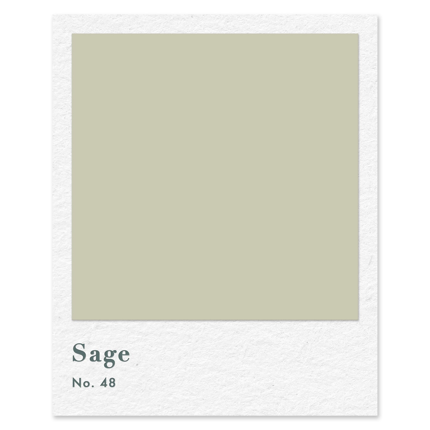 Sage (No. 48) — traditional paint colour by Rose of Jericho