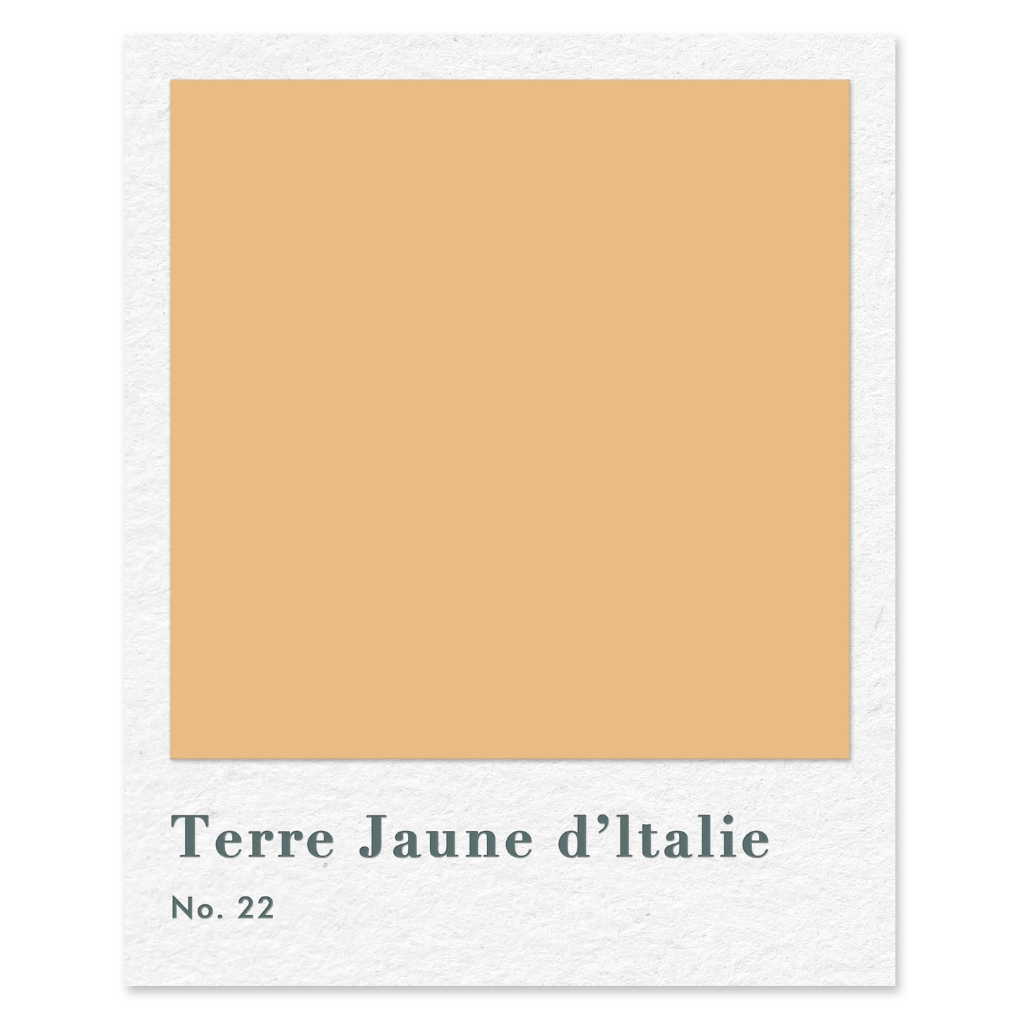 Terre Jaune d'Italie (No. 22) — traditional paint colour by Rose of Jericho
