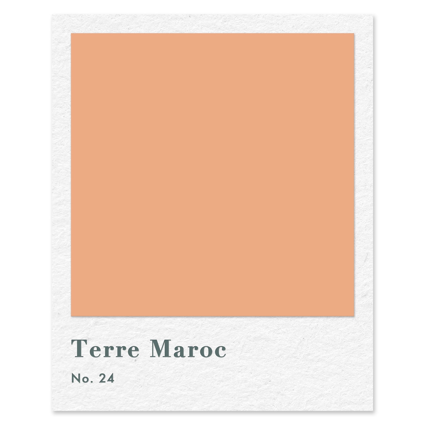 Terre Maroc (No. 24) — traditional paint colour by Rose of Jericho