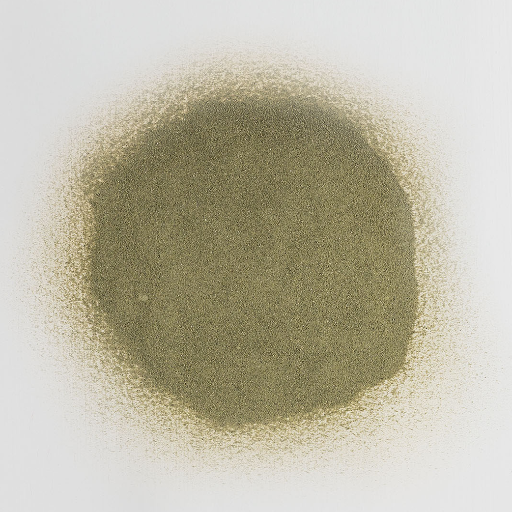 Shaftesbury Green — graded stone dust by Rose of Jericho