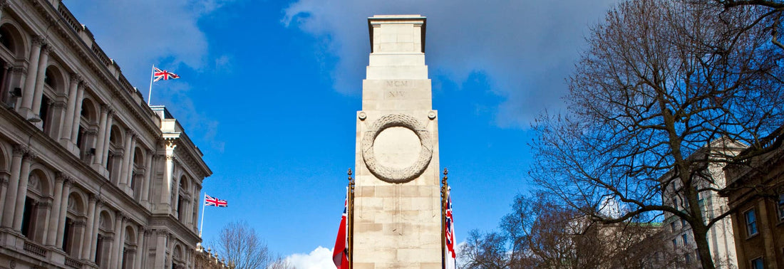 The Cenotaph in Whitehall prepared with Rose of Jericho sheltercoat