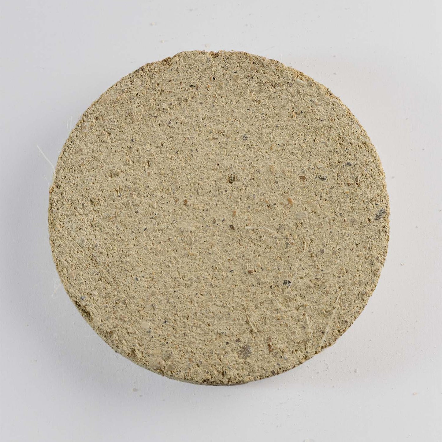 Sph5 - Rose of Jericho