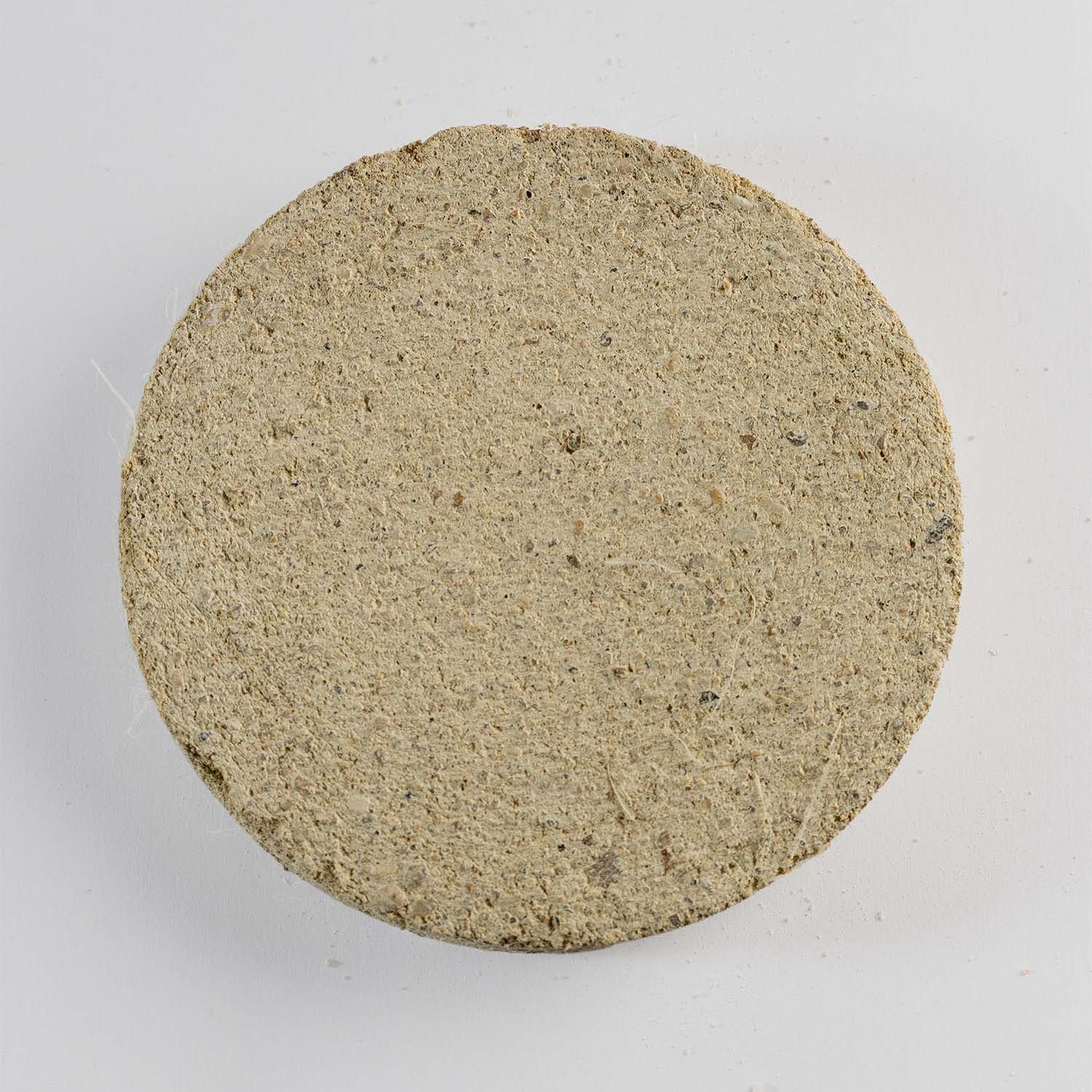 Sph5 - Rose of Jericho