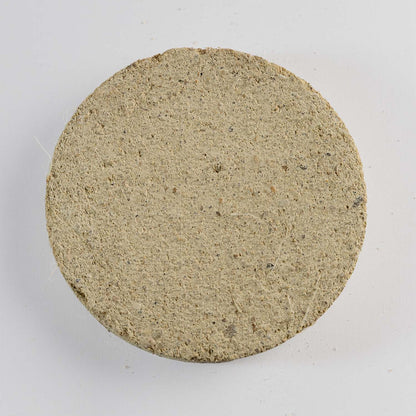 Sph5 - Rose of Jericho
