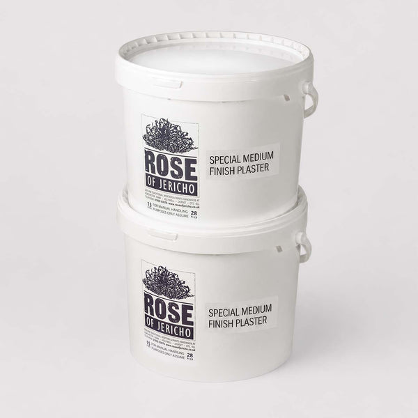 Special medium finish plaster — lime plaster by Rose of Jericho