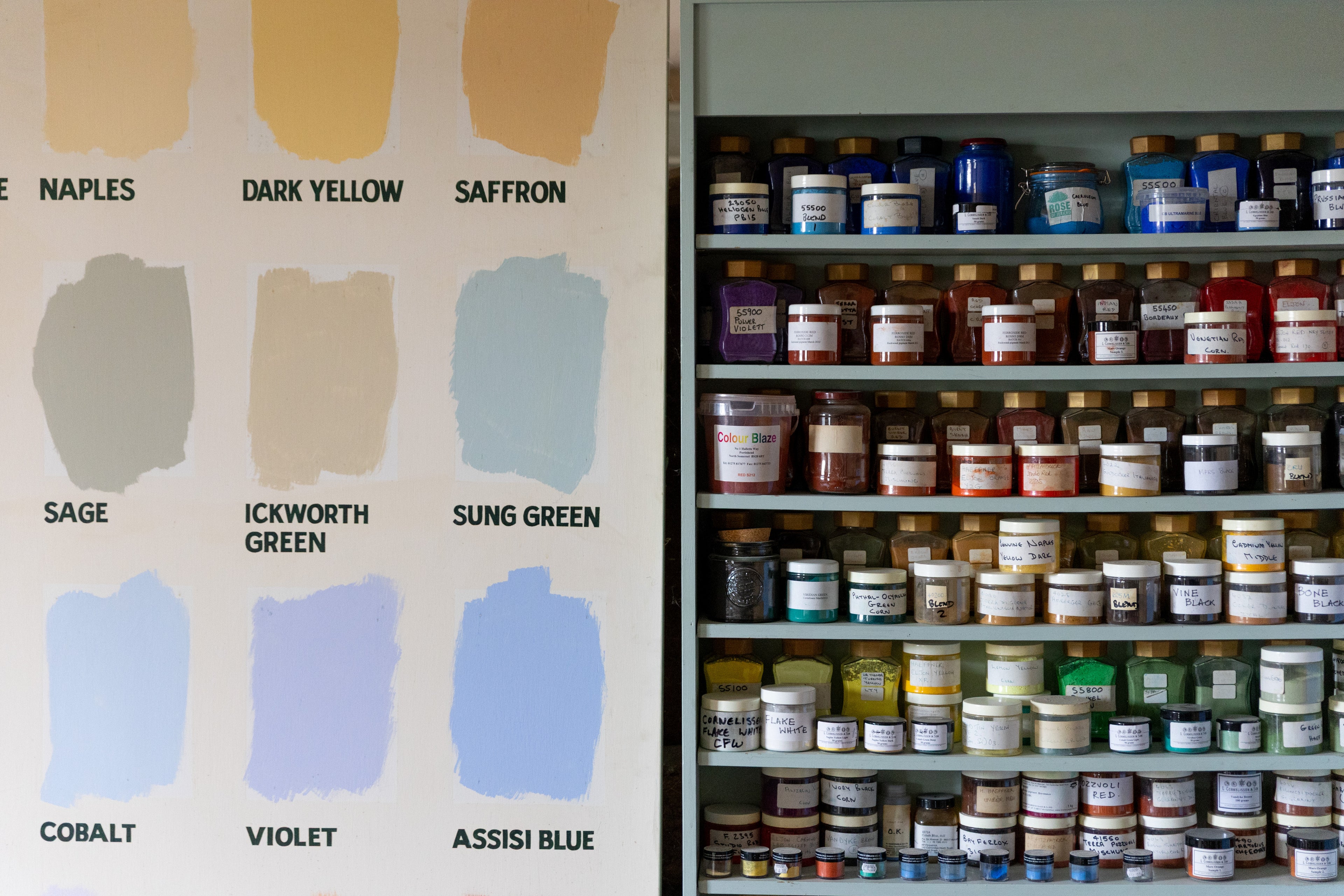 Rose of Jericho Paint Wall