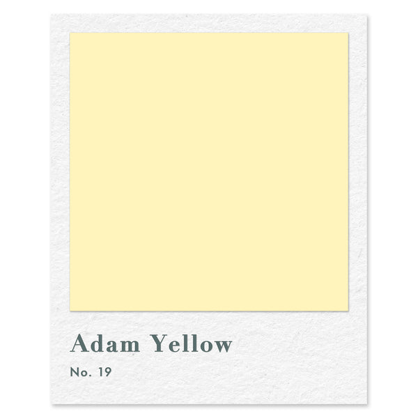 Adam Yellow (No. 19) — traditional paint colour by Rose of Jericho