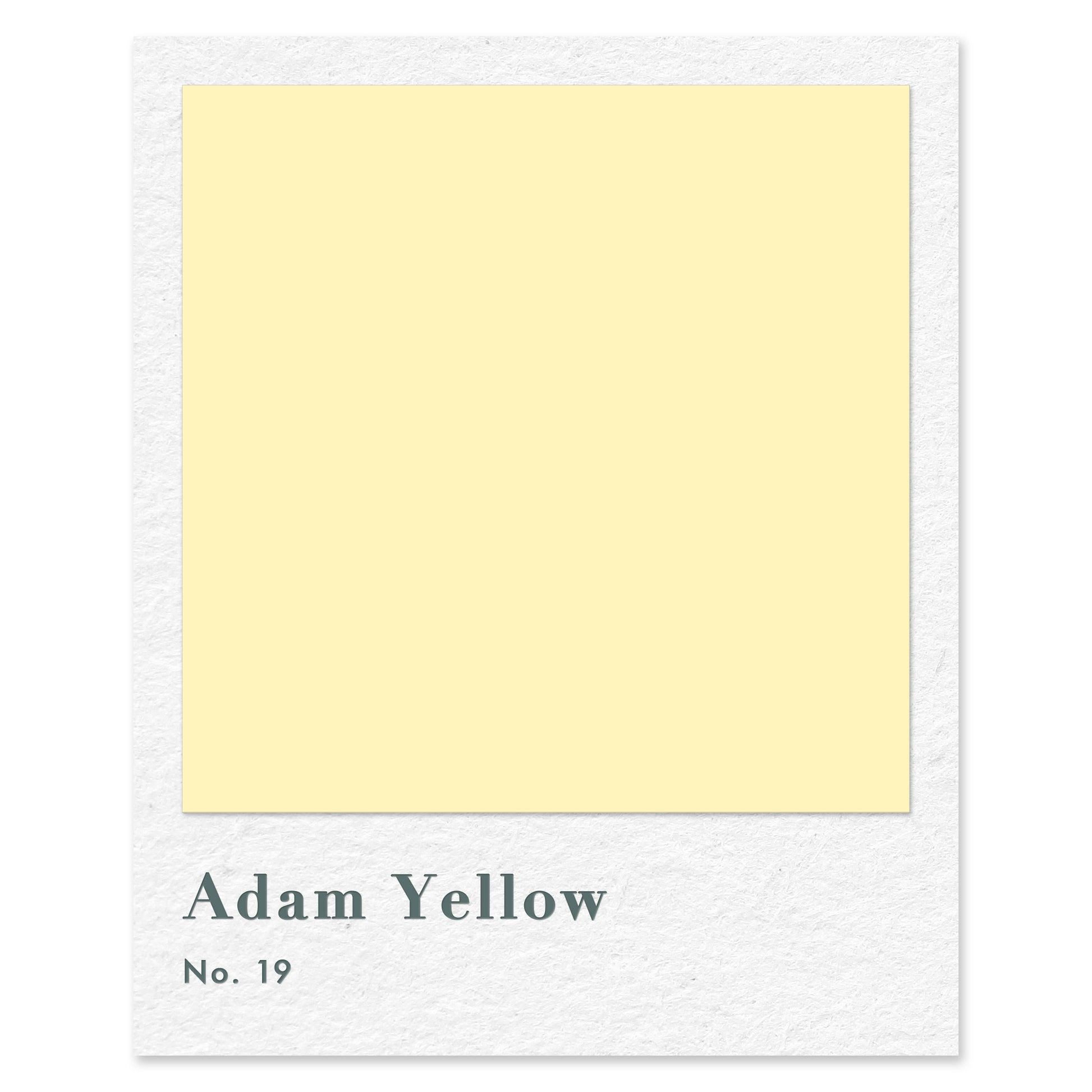Adam Yellow (No. 19) — traditional paint colour by Rose of Jericho
