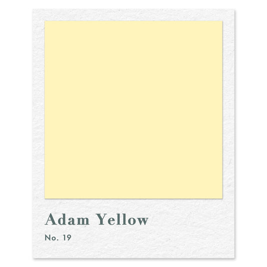 Adam Yellow (No. 19) — traditional paint colour by Rose of Jericho