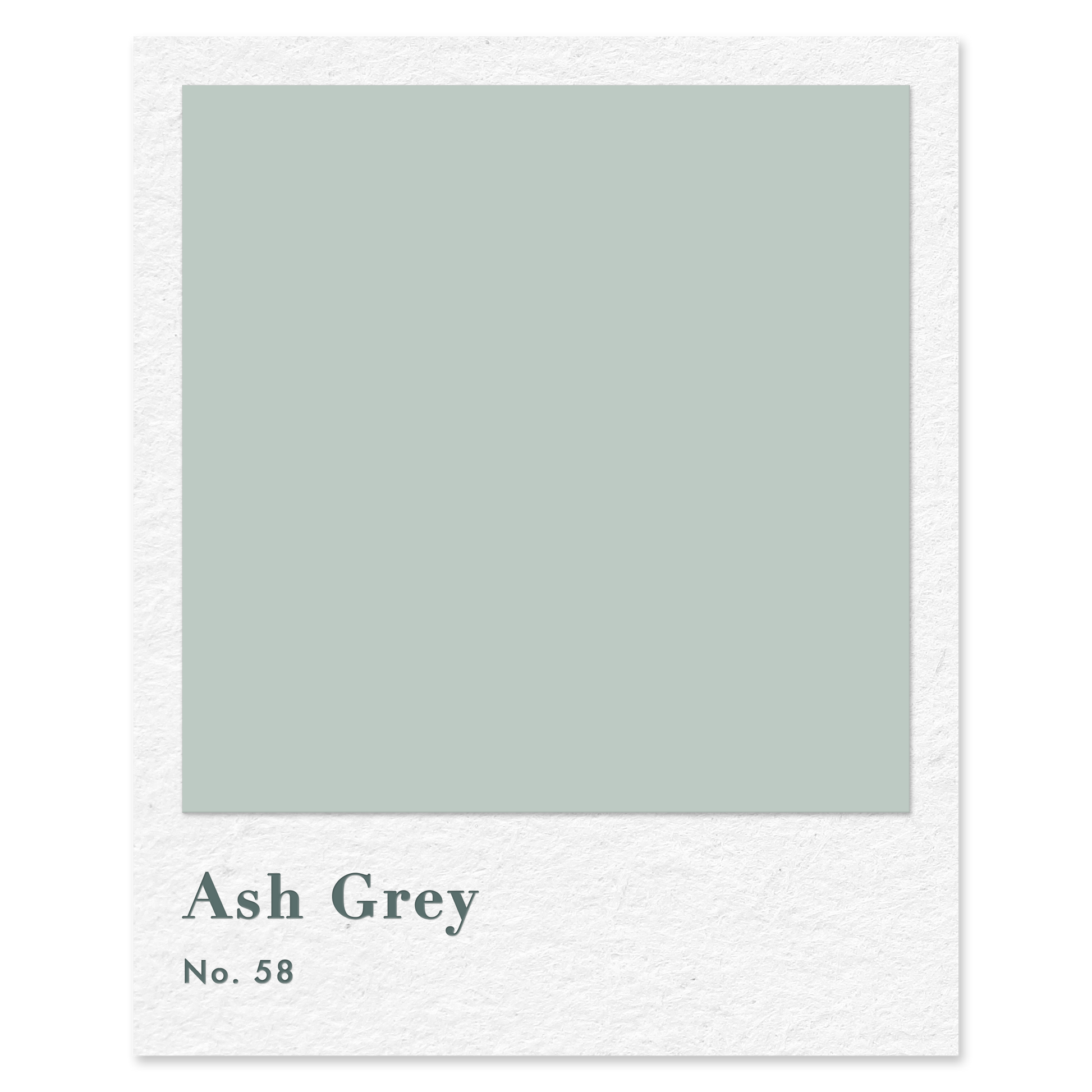 Ash Grey (No. 58) — traditional paint colour by Rose of Jericho
