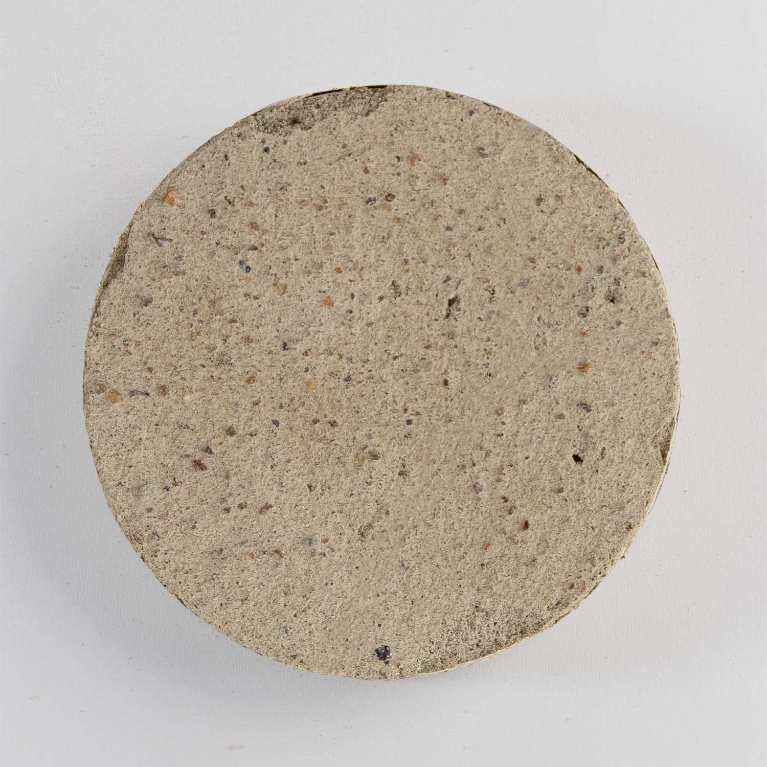 Basecoat plaster without fibres — lime plaster by Rose of Jericho