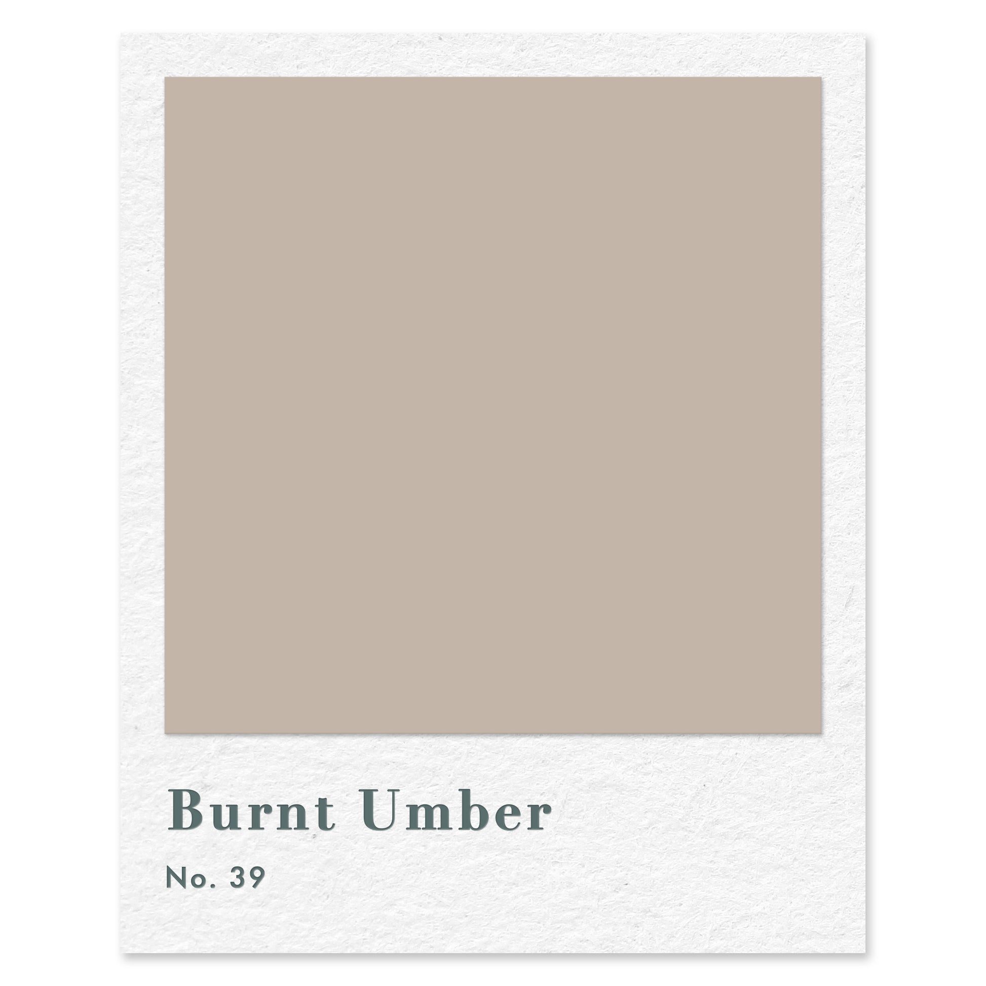 Burnt Umber (No. 39) — traditional paint colour by Rose of Jericho