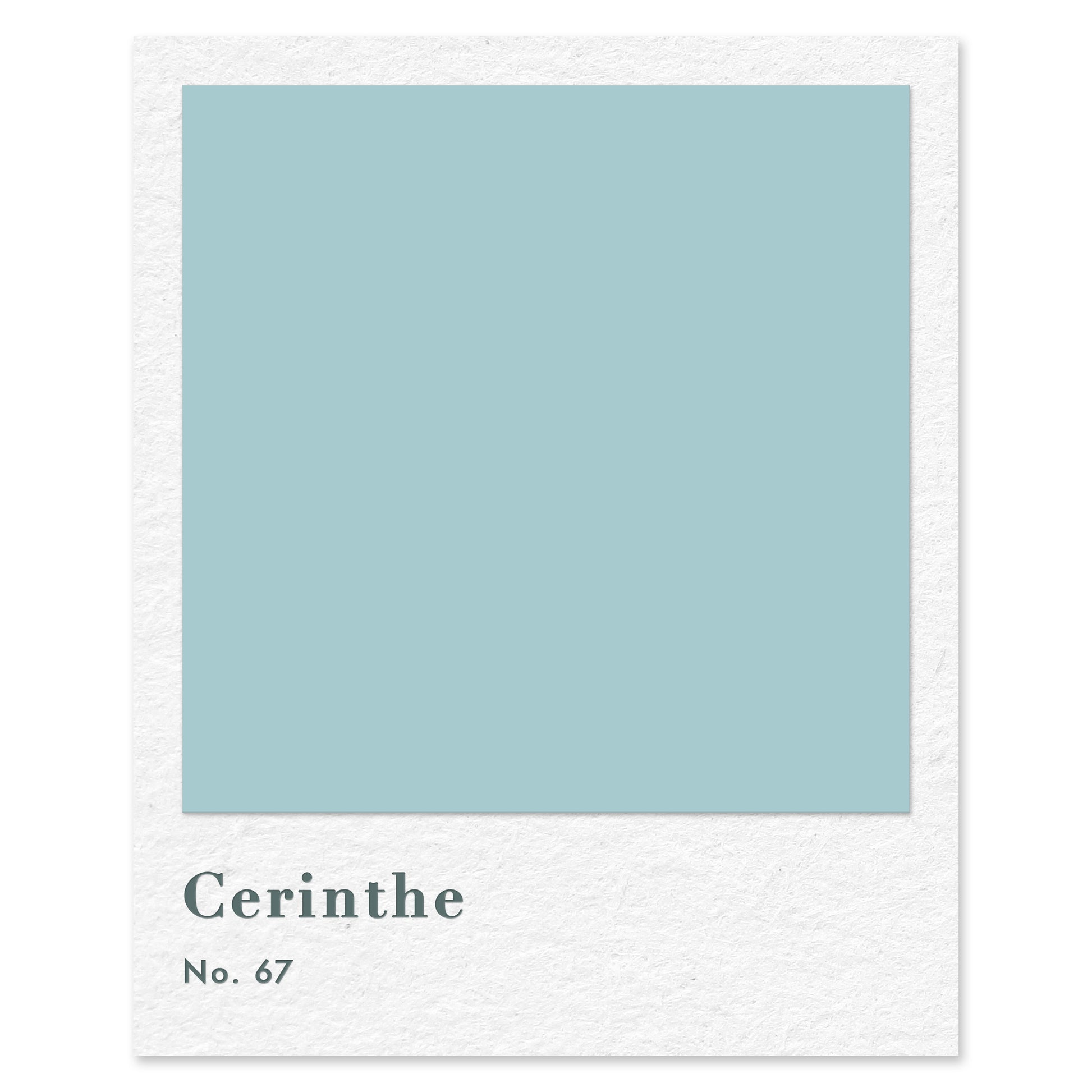 Cerinthe (No. 67) — traditional paint colour by Rose of Jericho