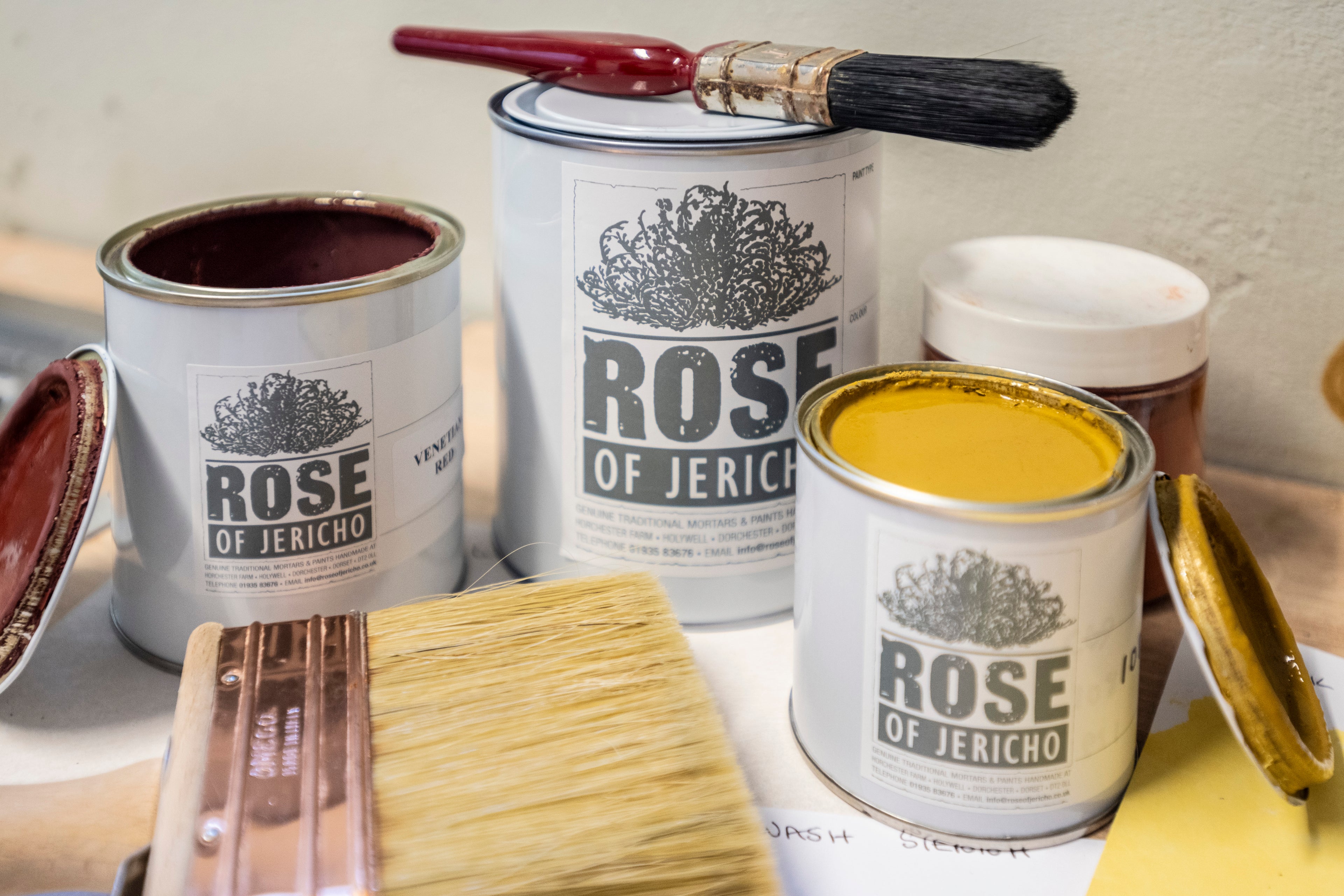 Rose of Jericho paint cans with brushes on a table
