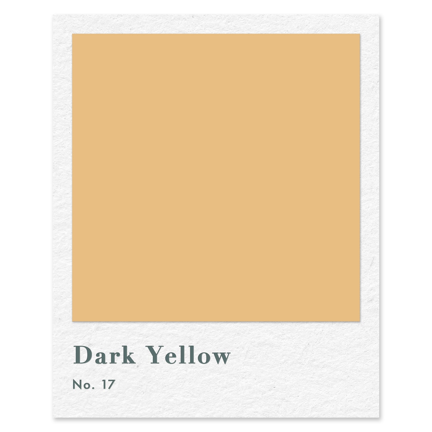 Dark Yellow (No. 17) — traditional paint colour by Rose of Jericho
