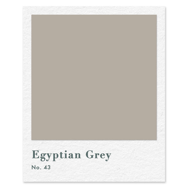 Egyptian Grey (No. 43) — traditional paint colour by Rose of Jericho