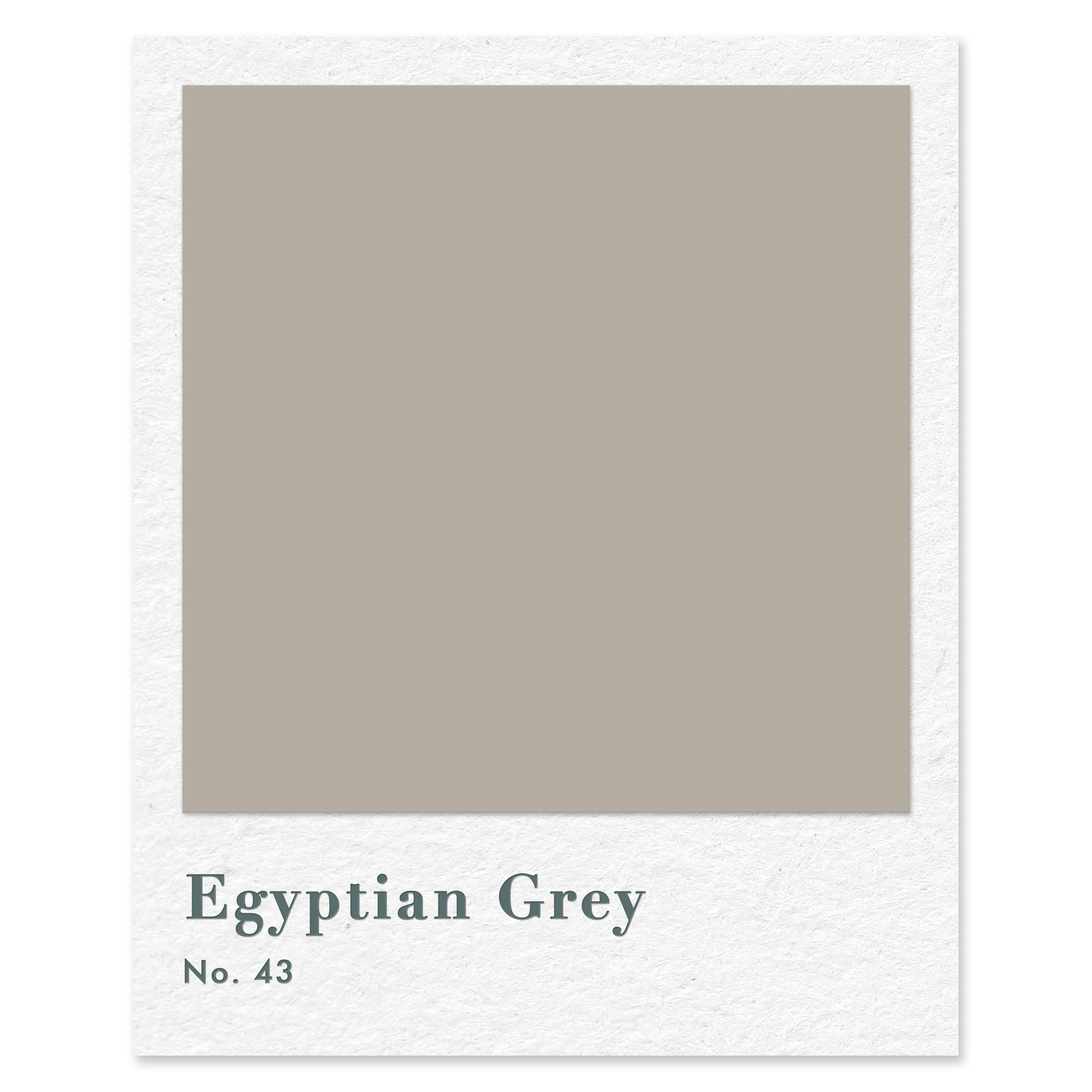 Egyptian Grey (No. 43) — traditional paint colour by Rose of Jericho