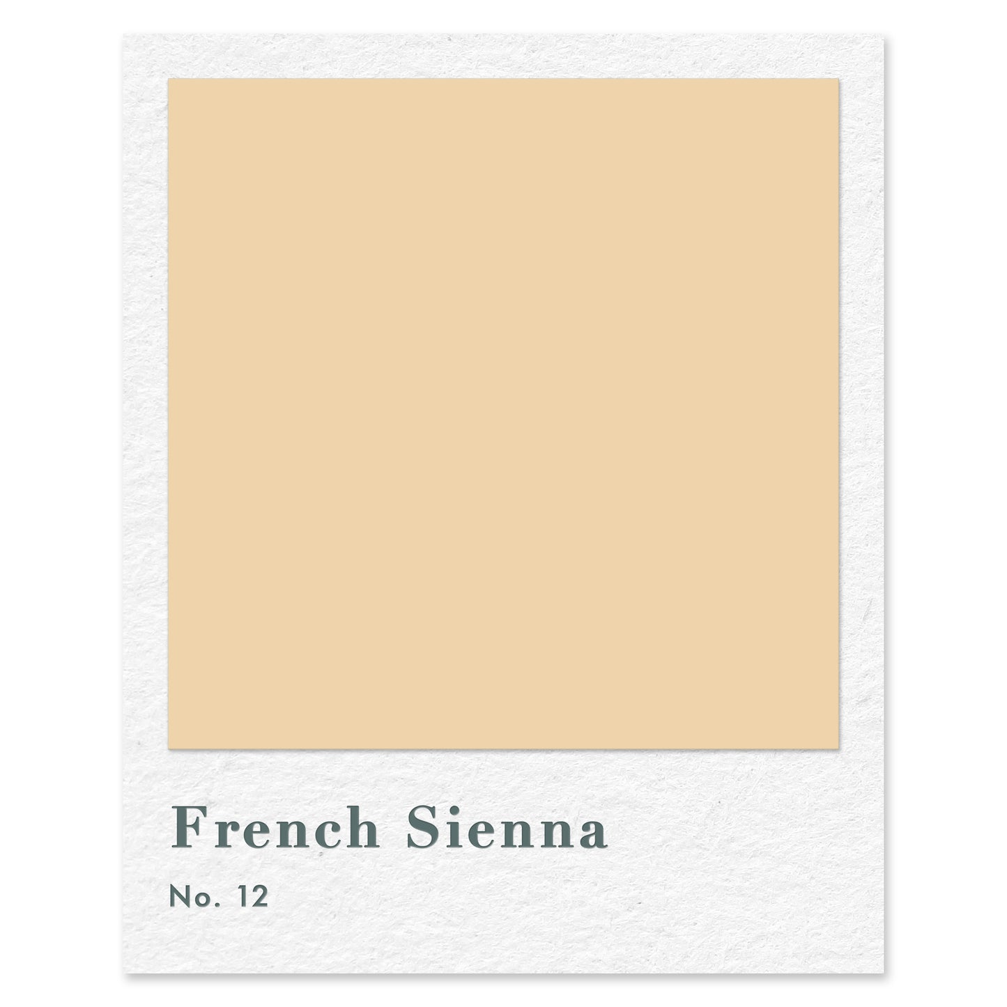 French Sienna (No. 12) — traditional paint colour by Rose of Jericho