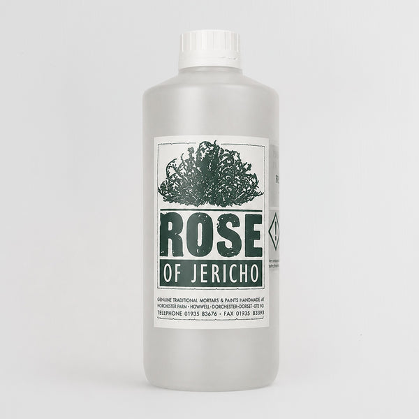 Fungicidal Wash — traditional paint-making material by Rose of Jericho