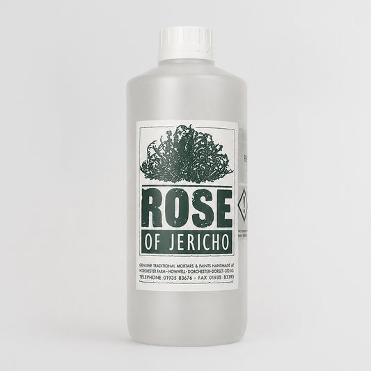 Fungicidal Wash — traditional paint-making material by Rose of Jericho