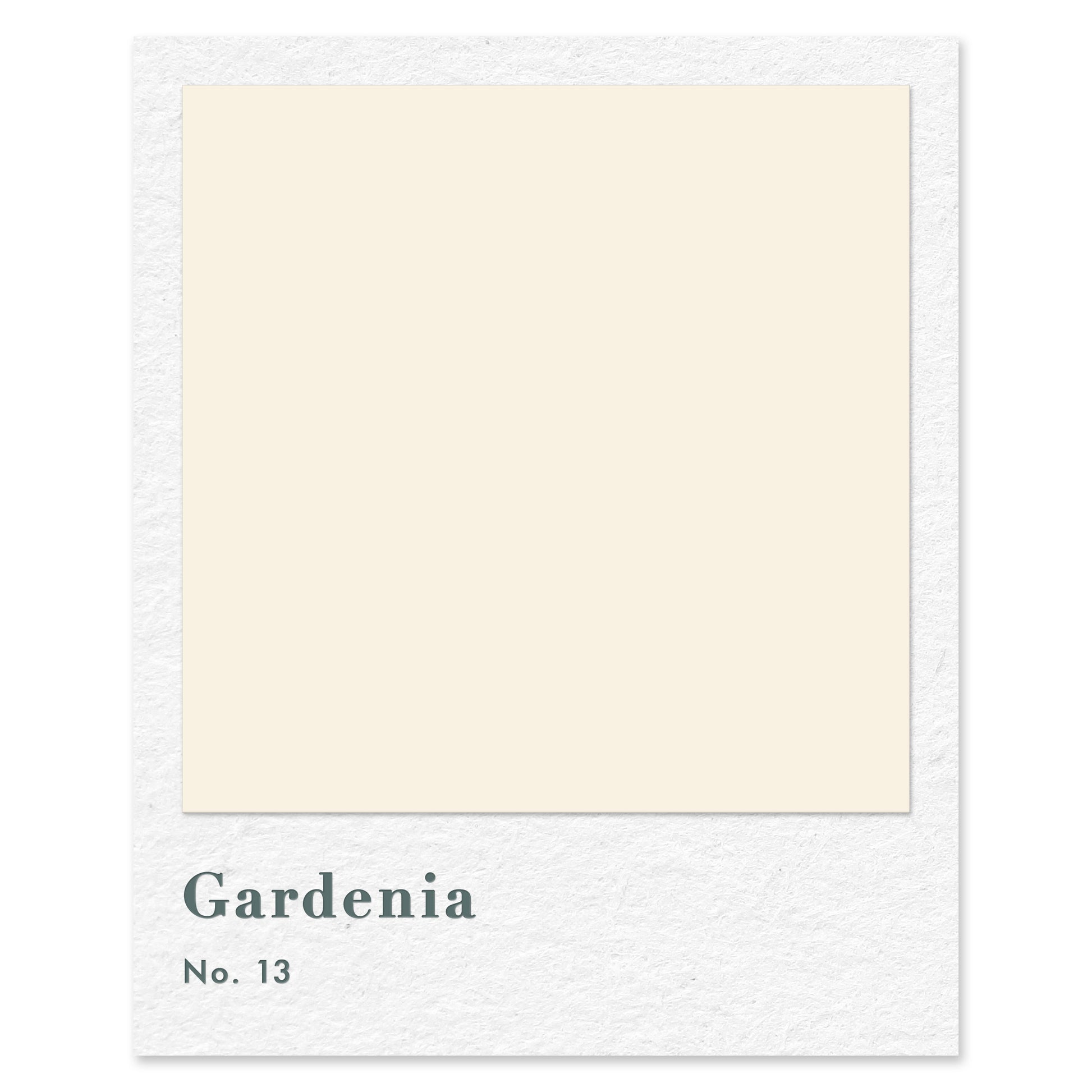 Gardenia (No. 13) — traditional paint colour by Rose of Jericho
