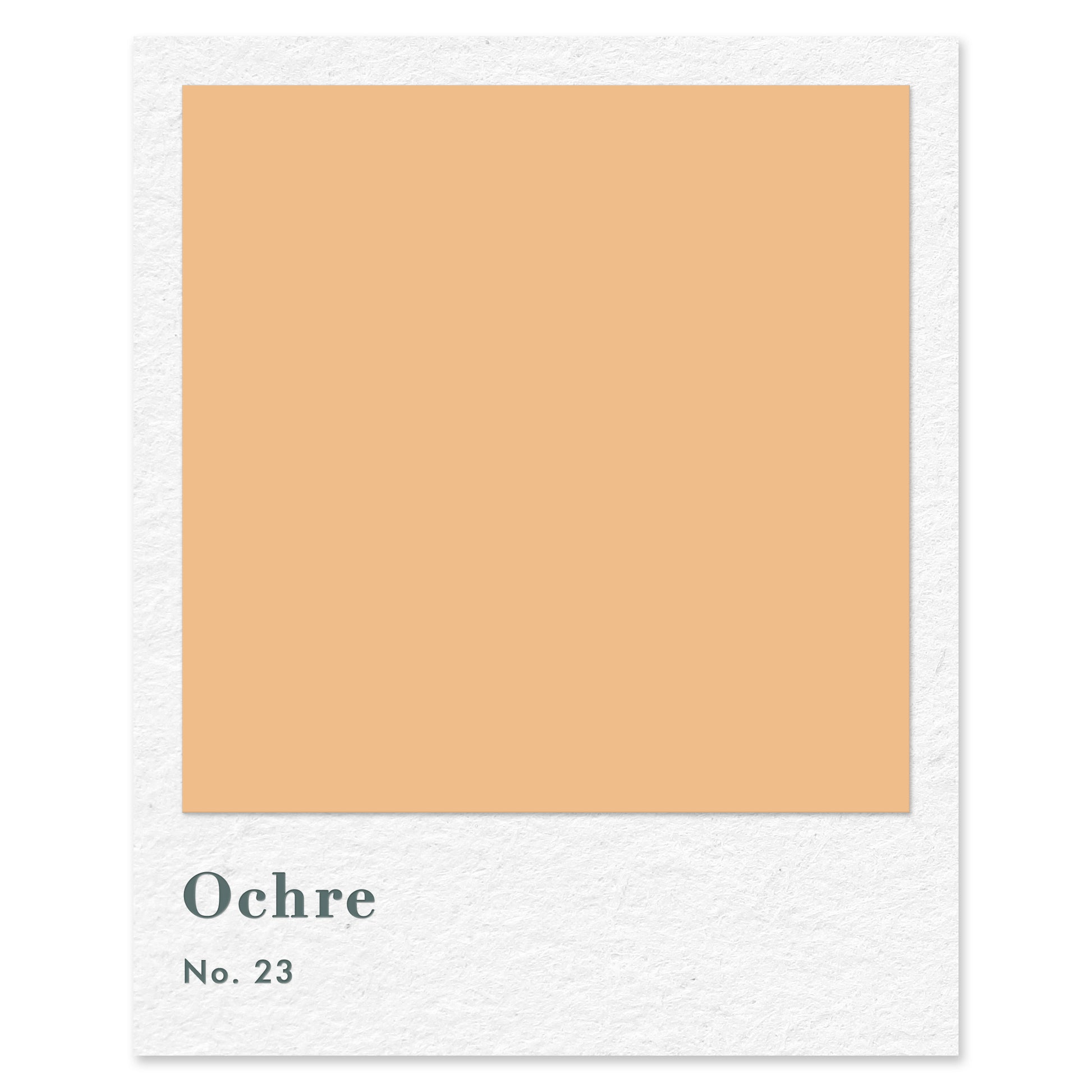 Ochre (No. 23) — traditional paint colour by Rose of Jericho