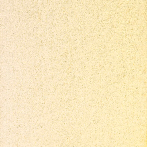 Bath Stone Sheltercoat — lime sheltercoat for stone conservation by Rose of Jericho