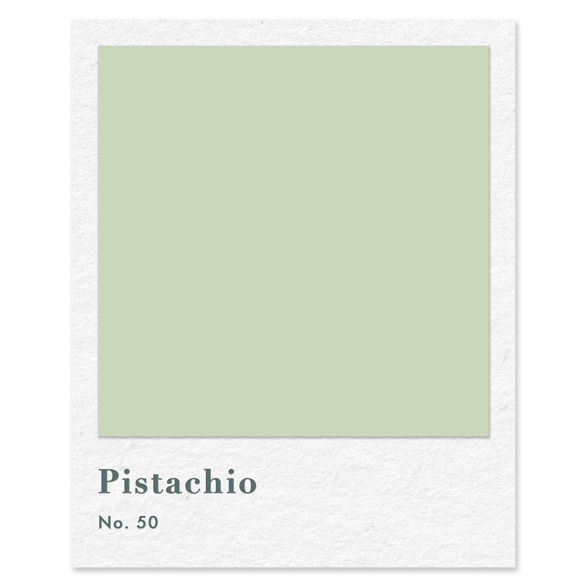 Pistachio (No. 50) — traditional paint colour by Rose of Jericho
