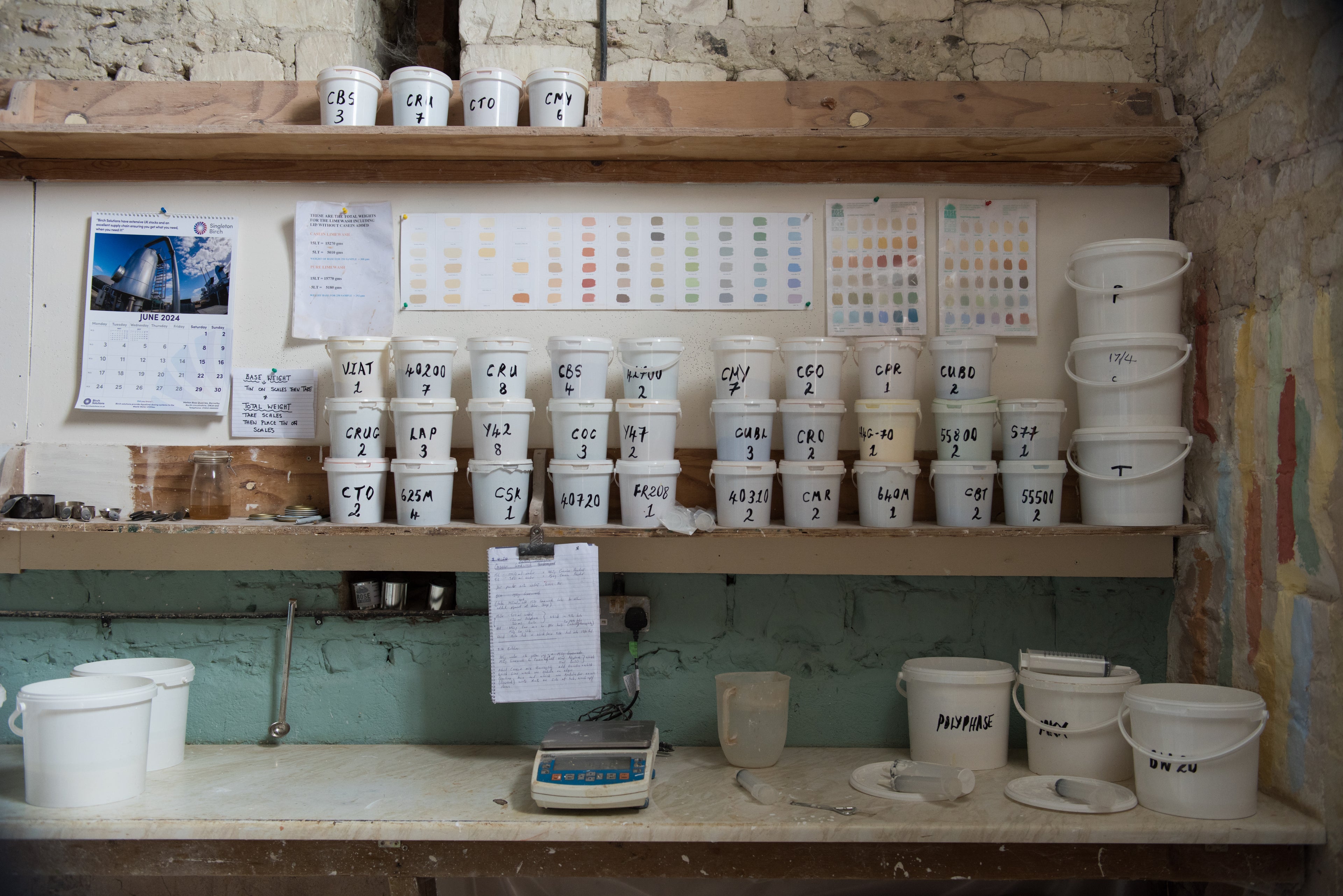 Rose of Jericho Studio