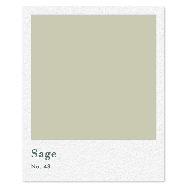 Sage (No. 48) — traditional paint colour by Rose of Jericho
