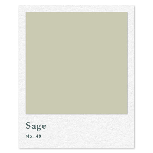 Sage (No. 48) — traditional paint colour by Rose of Jericho