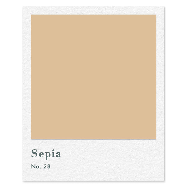 Sepia (No. 28) — traditional paint colour by Rose of Jericho