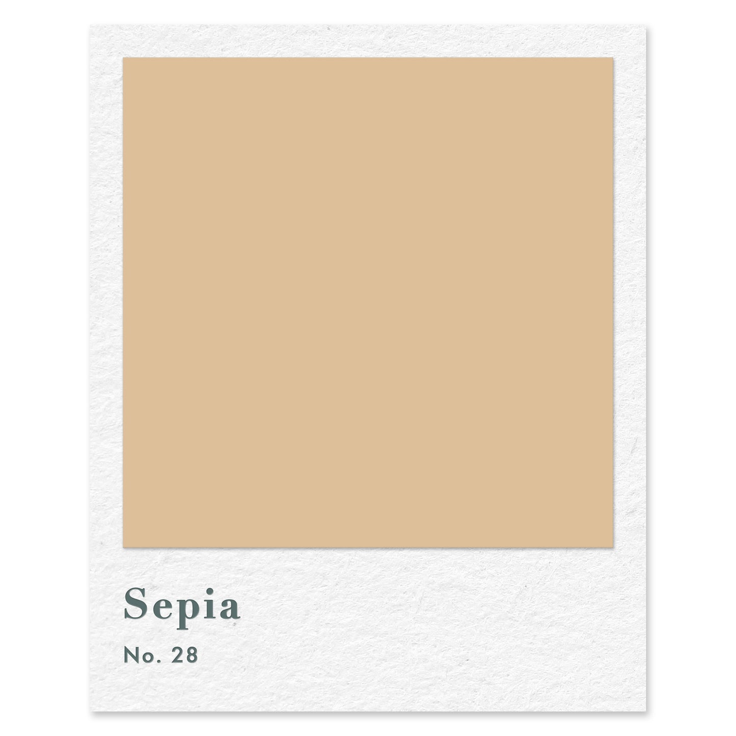 Sepia (No. 28) — traditional paint colour by Rose of Jericho
