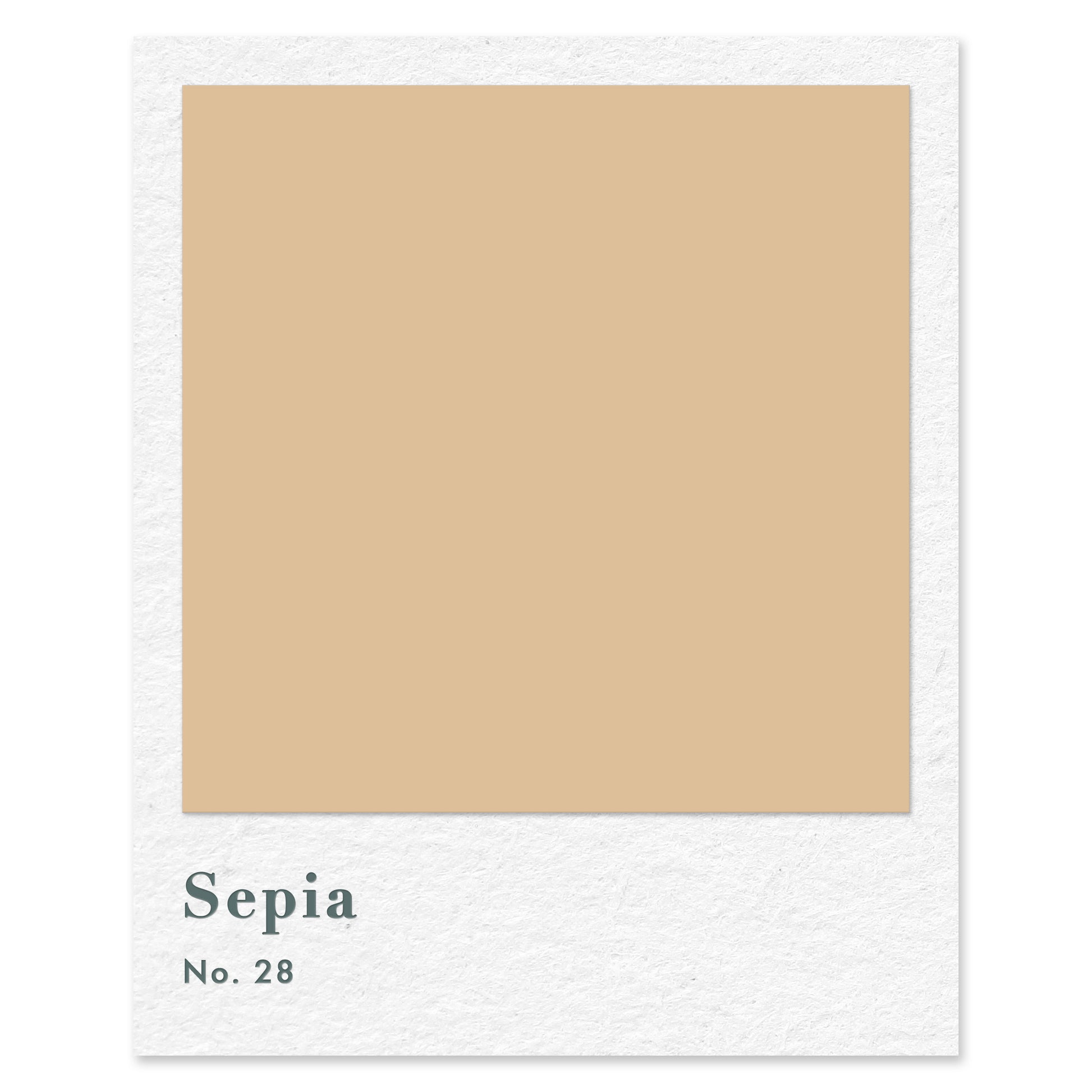 Sepia (No. 28) — traditional paint colour by Rose of Jericho