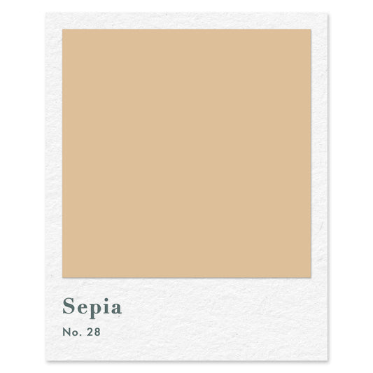 Sepia (No. 28) — traditional paint colour by Rose of Jericho