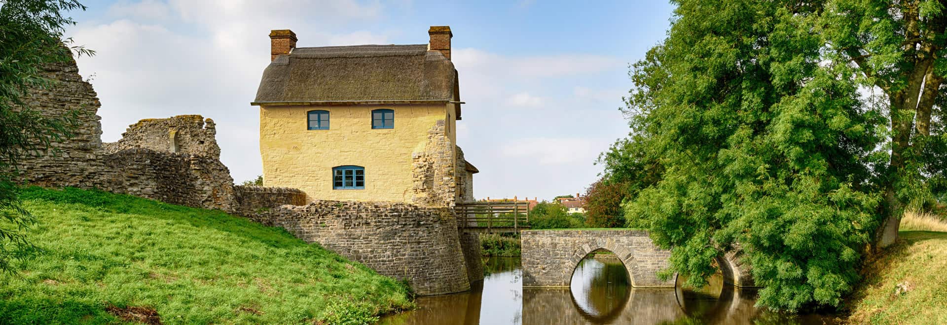 Stogursey Castle — Rose of Jericho homepage banner