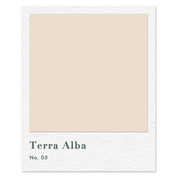 Terra Alba (No. 5) — traditional paint colour by Rose of Jericho