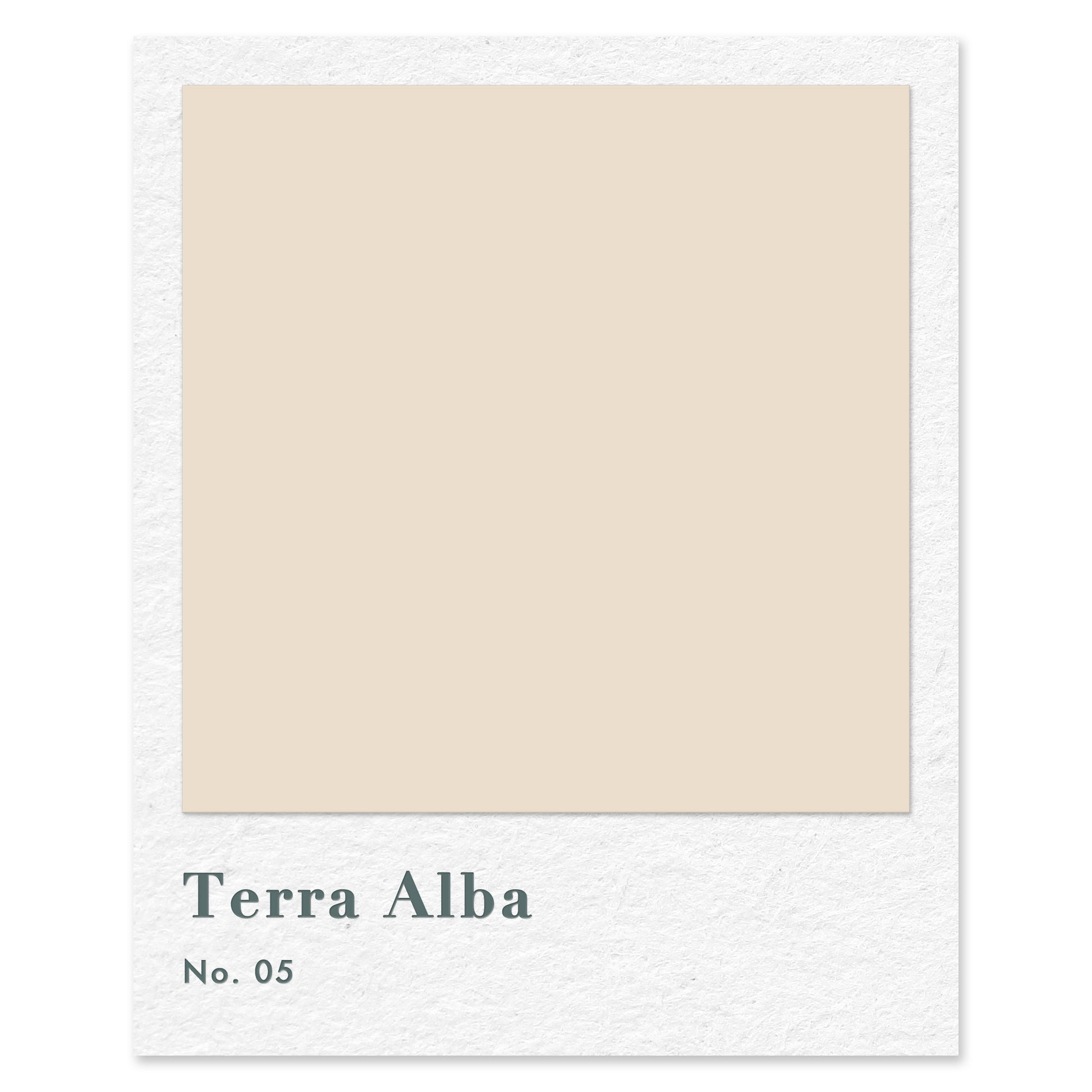 Terra Alba (No. 5) — traditional paint colour by Rose of Jericho