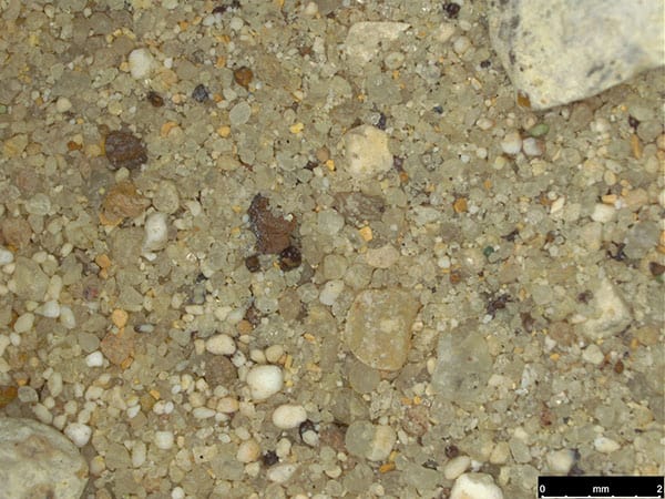 
Figure 1. Insolubles (>63µm) from a Roman bedding mortar. View under stereomicroscope at magnification x10. 