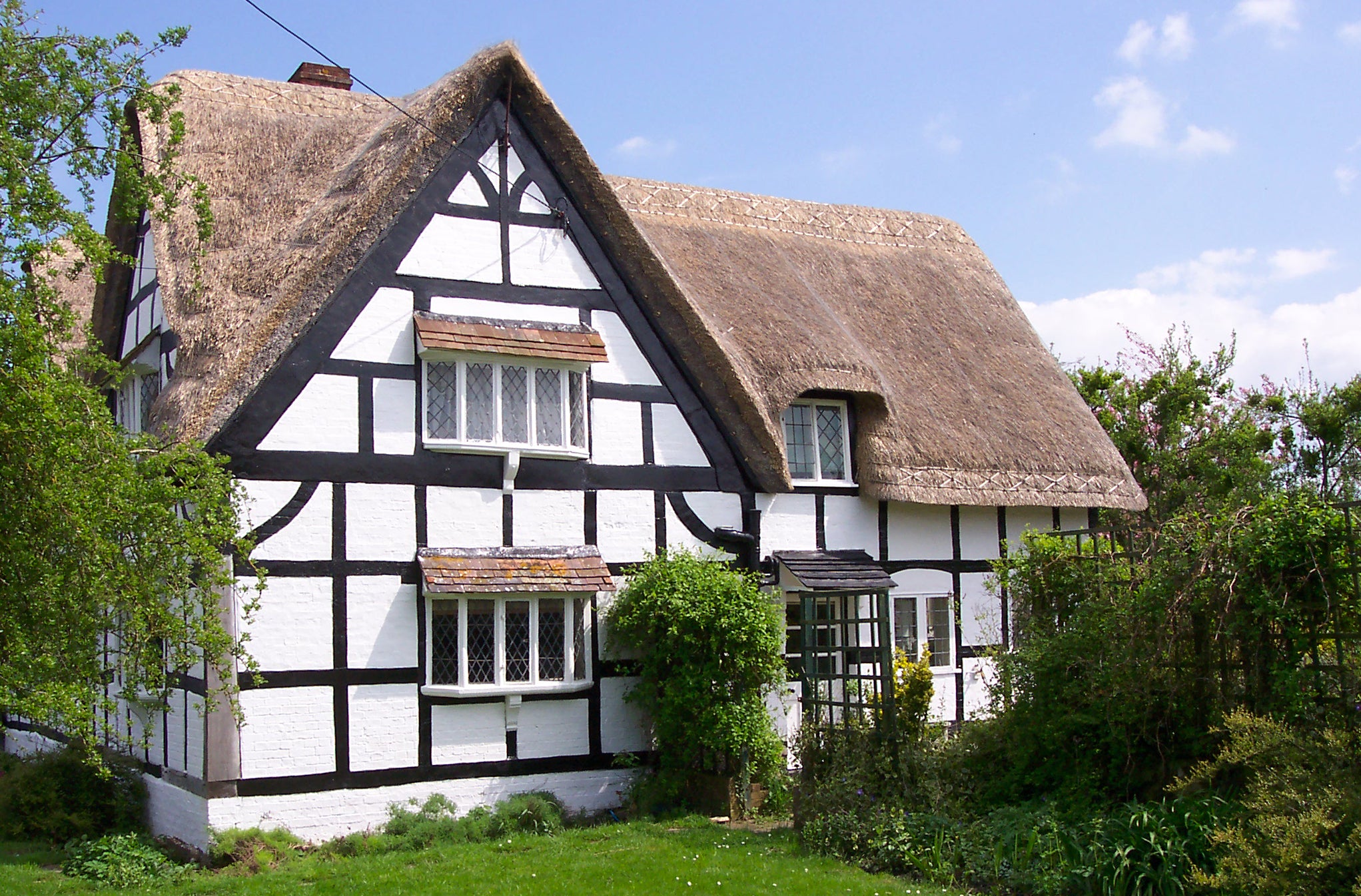 Tudor house limewash by Rose of Jericho